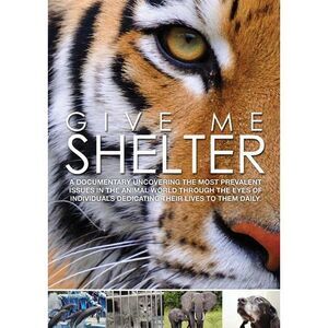 Give Me Shelter  DVD